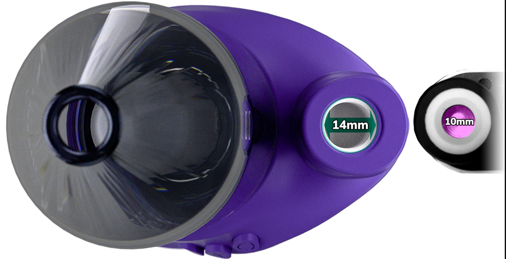 Focus V Carta 2 - Grape