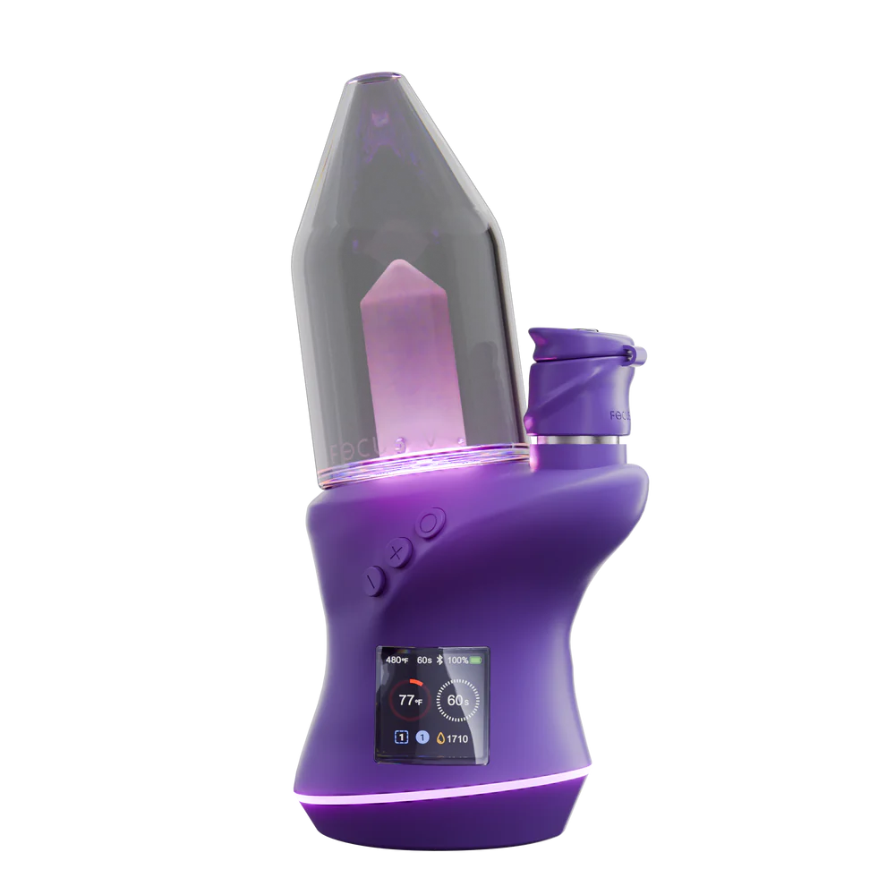 Focus V Carta 2 - Grape