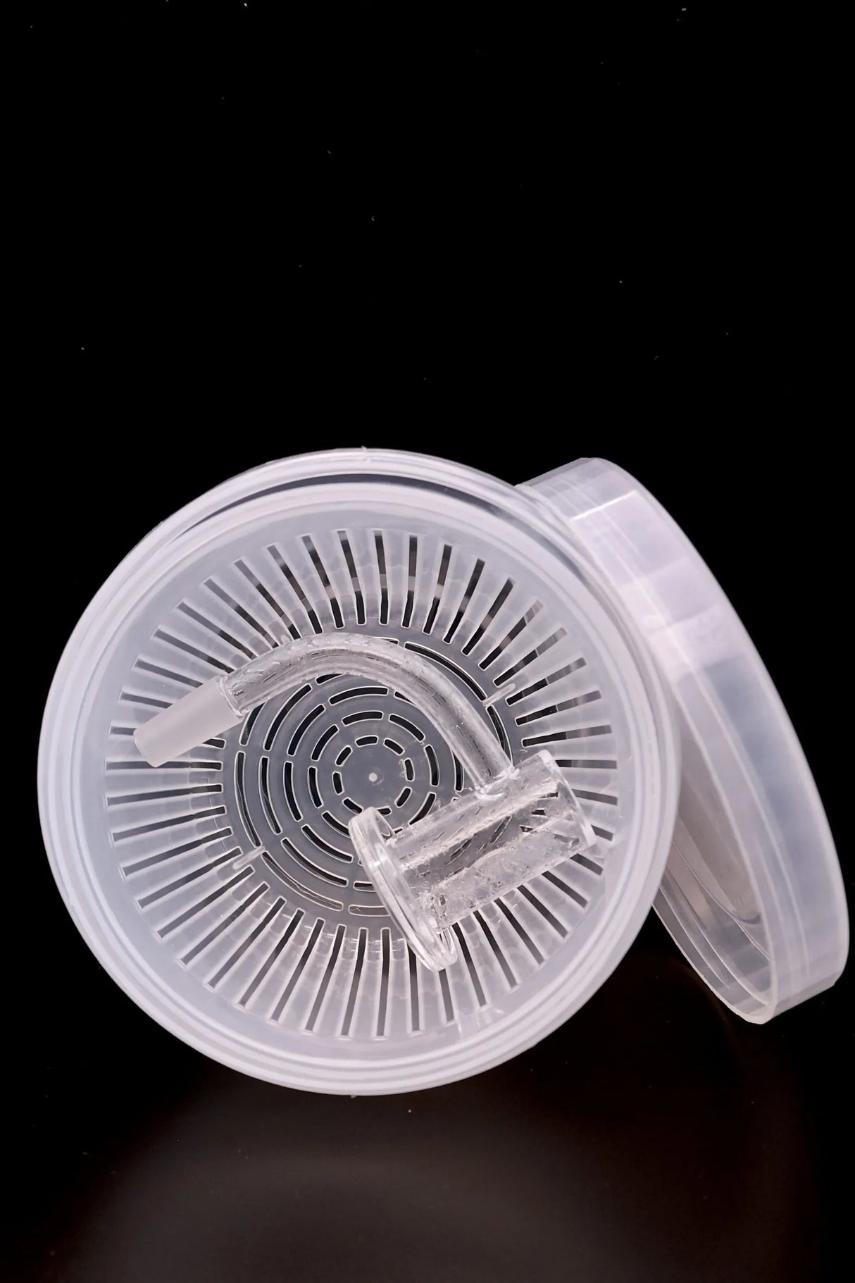 Heady Swabs -  Banger Bucket