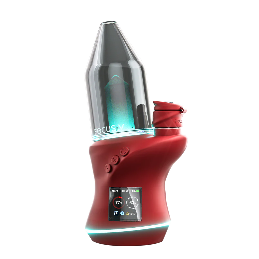 Focus V Carta 2 Kit - Bordeaux