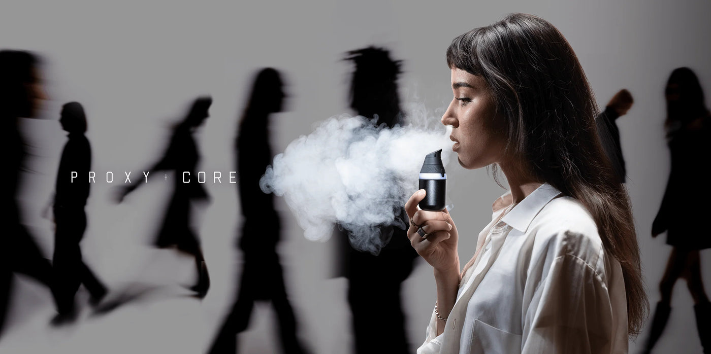 Top Smoke Shop Wholesale Distributor In Washington, Oregon, Idaho Utah Golden Cedar Wholesale Top Smoke Shop Wholesale Distributor In Washington, Oregon, Idaho Utah Golden Cedar Wholesale