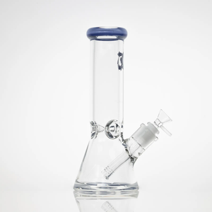 Glass House - Thick Beaker (10")(9mm)